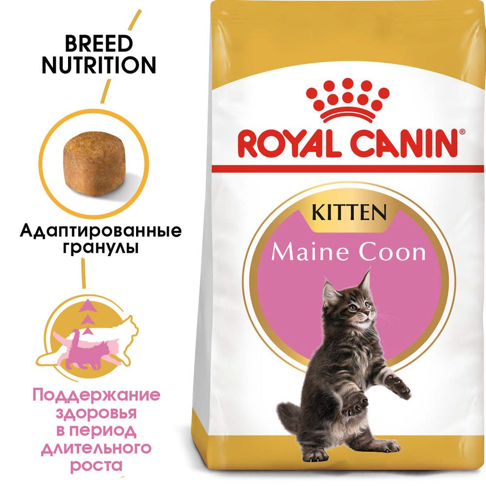 Корм для котят ROYAL CANIN Maine Coon Kitten сбалансированный для породы мэйн кун сух.