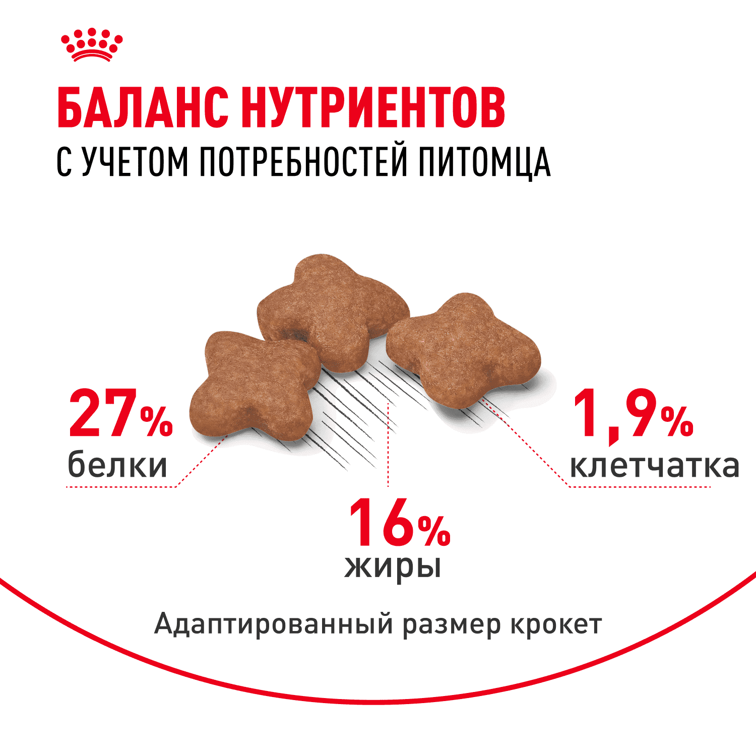 Корм для собак ROYAL CANIN Mini Adult для мелких пород от 10 месяцев сух.
