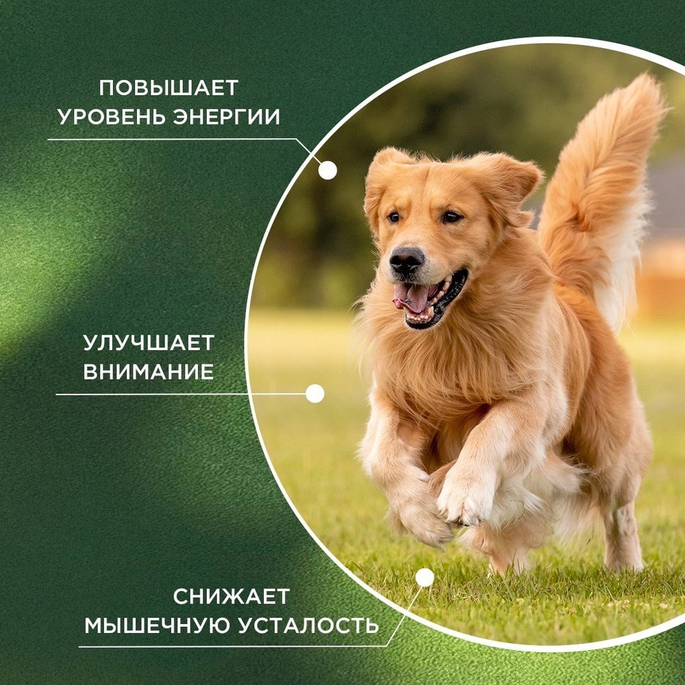 Витамины для собак Prophyto Энерджи Буст, 30 таб.