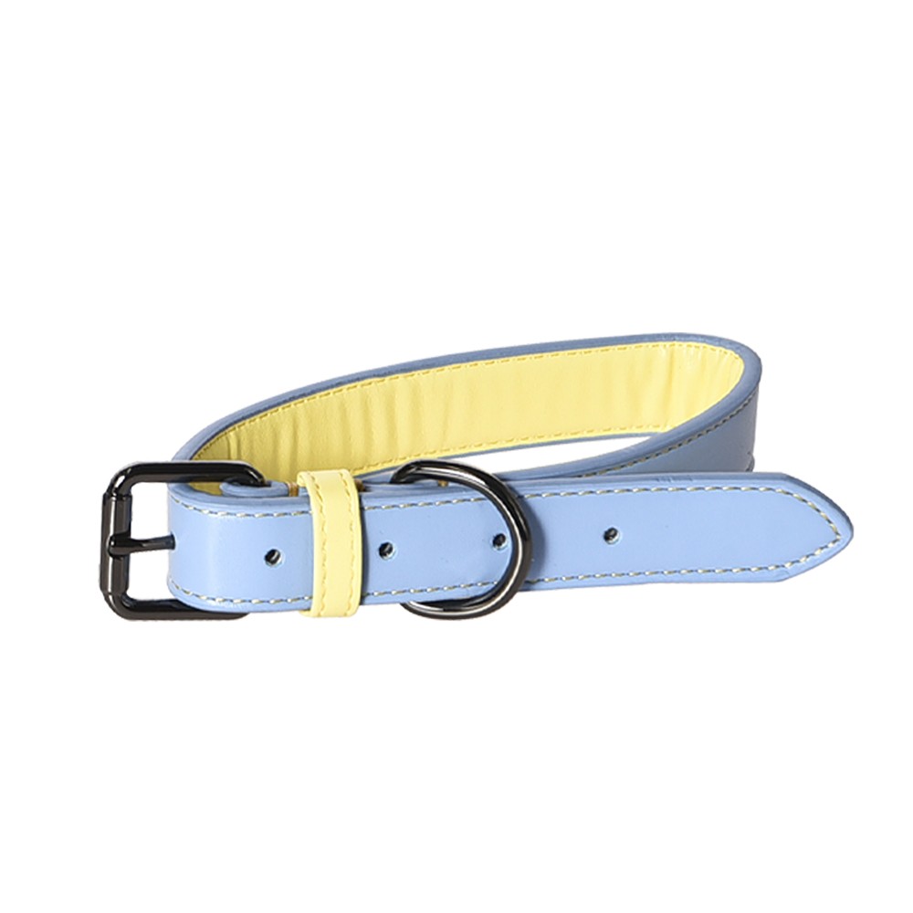 Ошейник для собак FOXIE Loving S 1,6x22-30 голубой