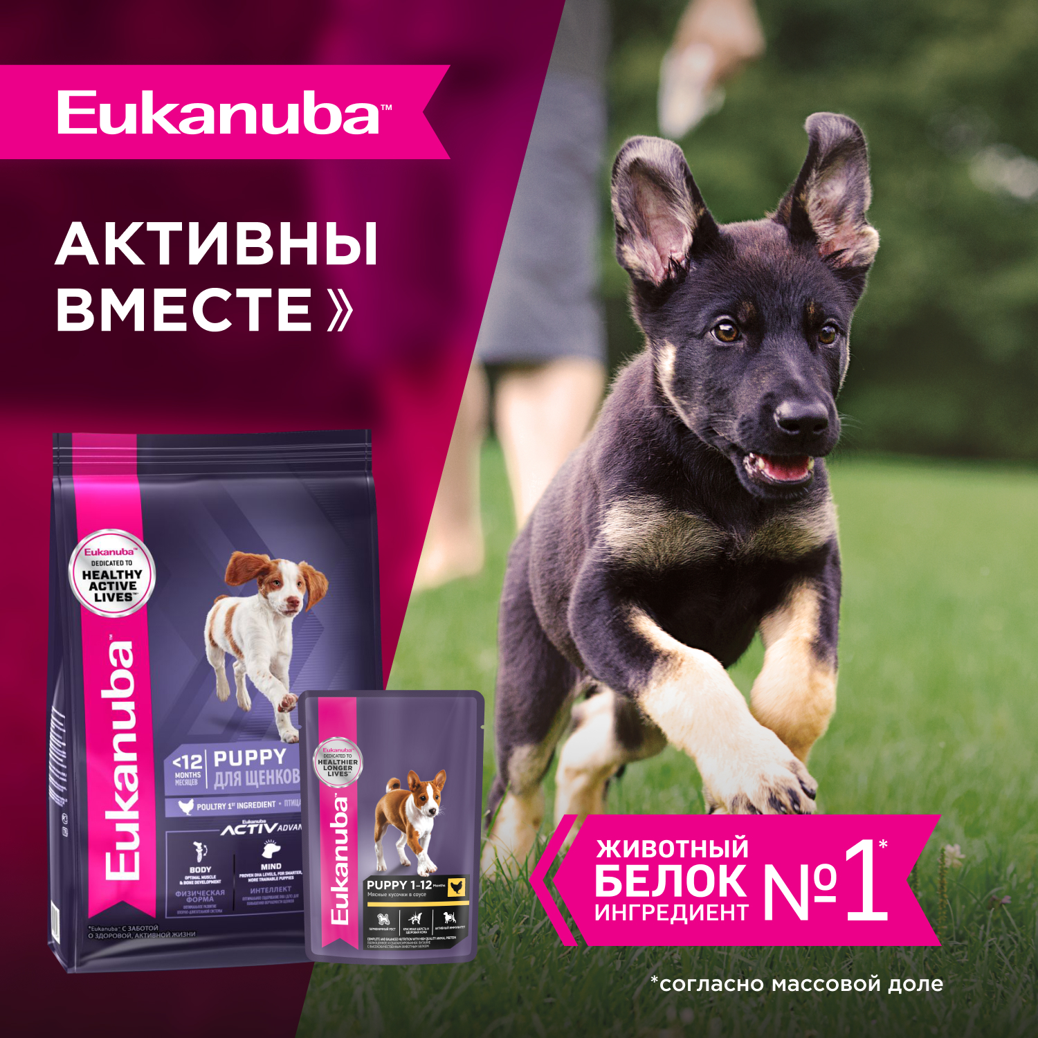 Корм для щенков EUKANUBA курица в соусе пауч