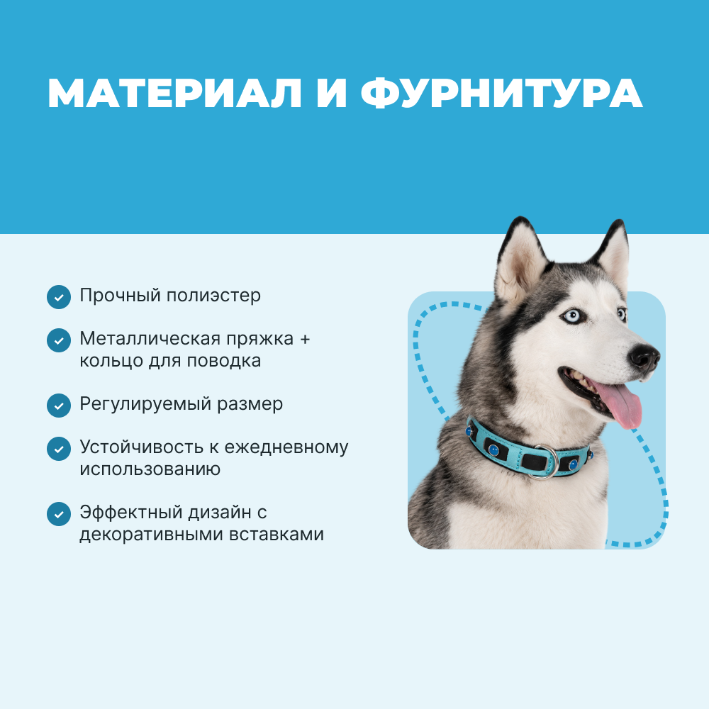 Ошейник для собак FOXIE Lagoon S 1,5х30-45см голубой