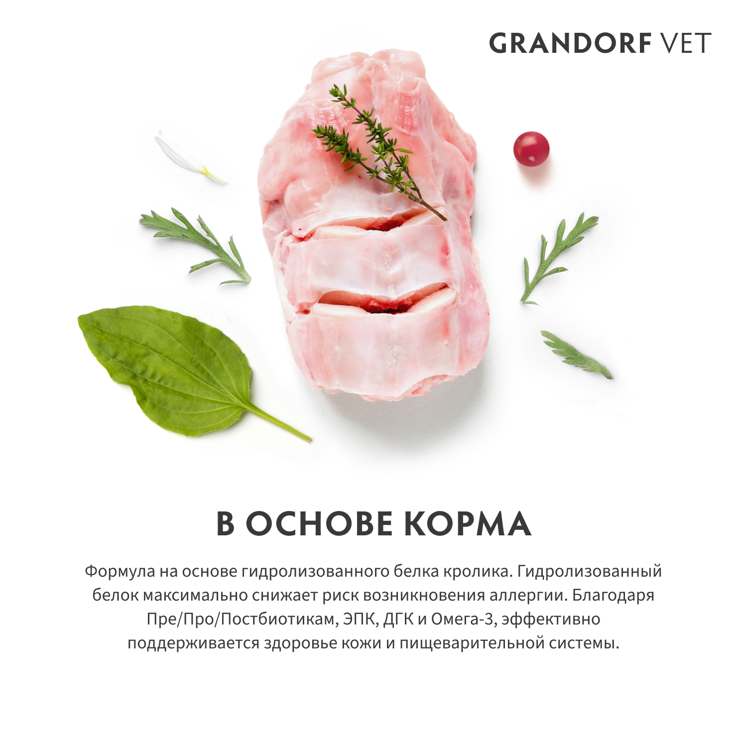 Корм для собак GRANDORF VETERINARY DIET Dog Hypoallergenic сух.