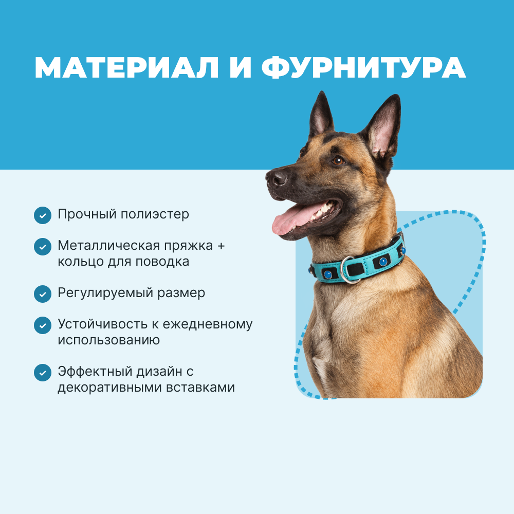 Ошейник для собак FOXIE Lagoon L 2,5х40-55см голубой