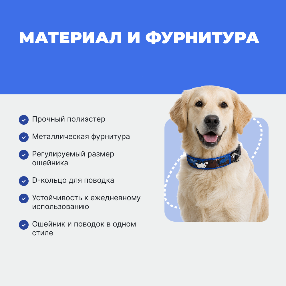 Ошейник и поводок для собак FOXIE Strong M разноцветные