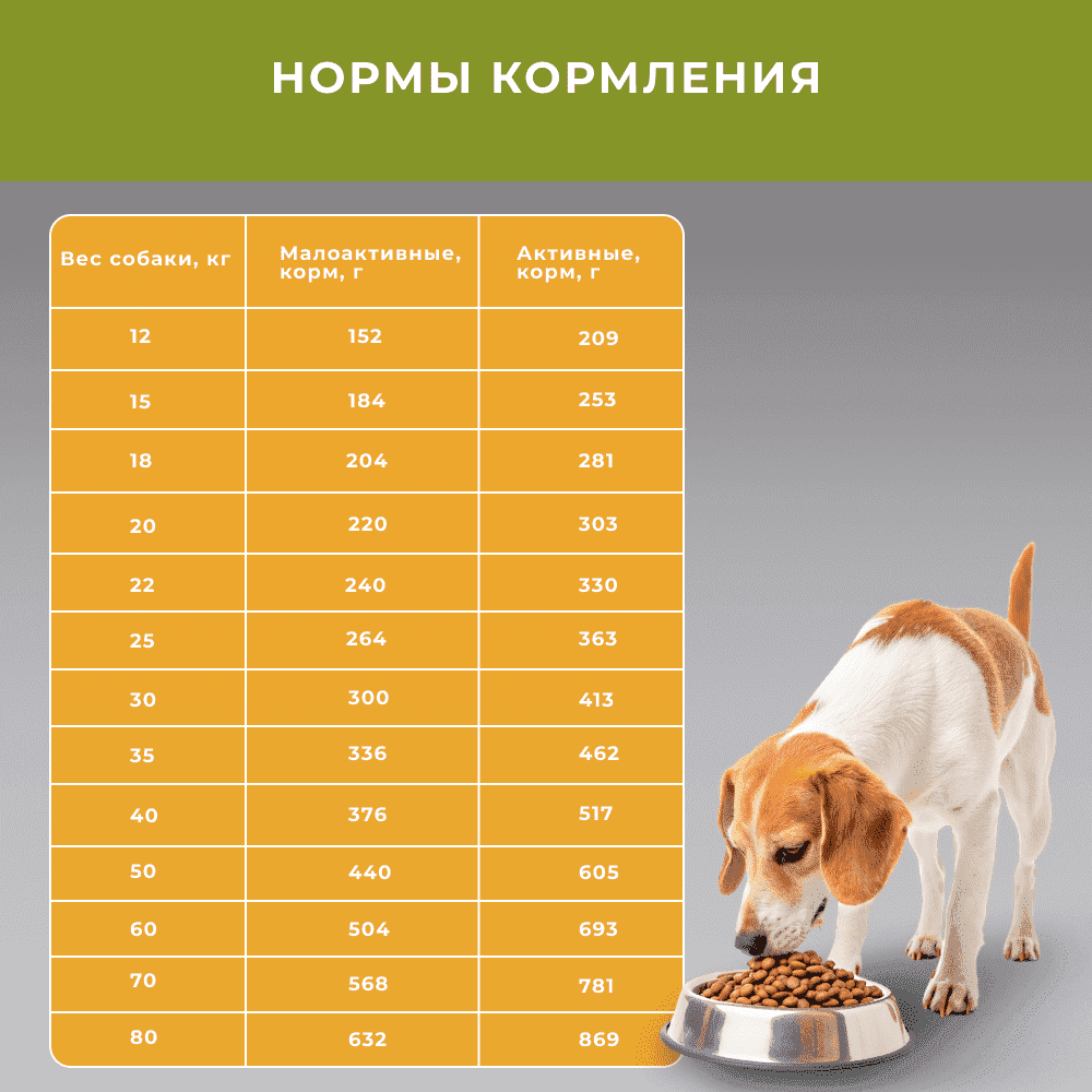 Корм для собак ELATO Holistic для средних и крупных пород, курица с уткой сух.