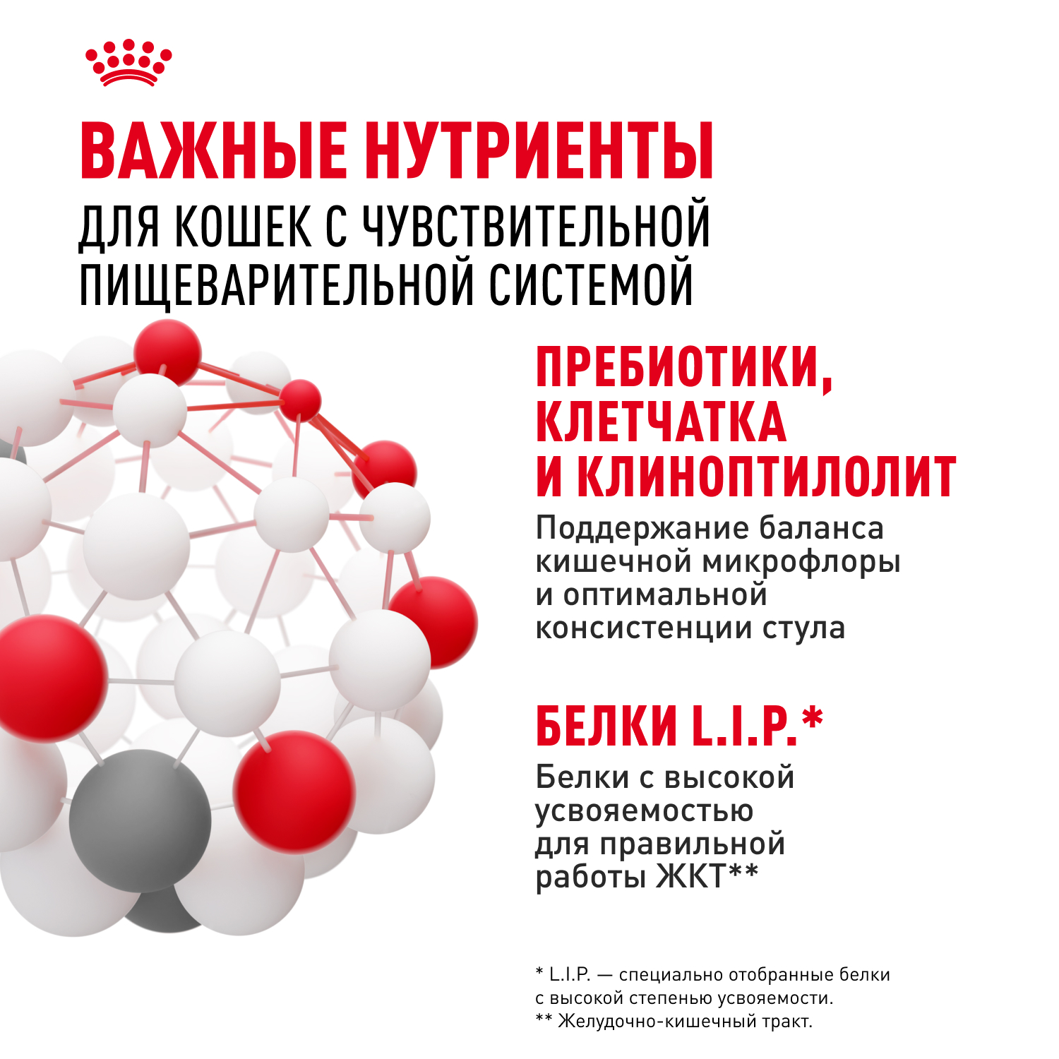 Корм для кошек ROYAL CANIN Digestive Care для здоровья пищеварительной системы (соус) пауч