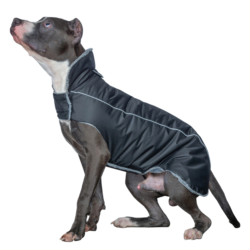 Попона для собак DOG MODA Бостон (черная) унисекс 61см (8)