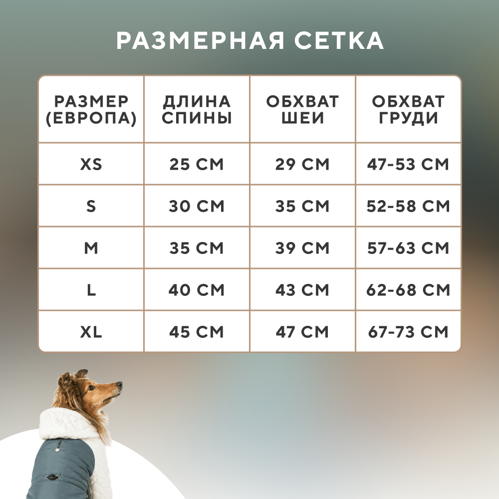 Куртка для собак FOXIE Matcha tea разноцветная