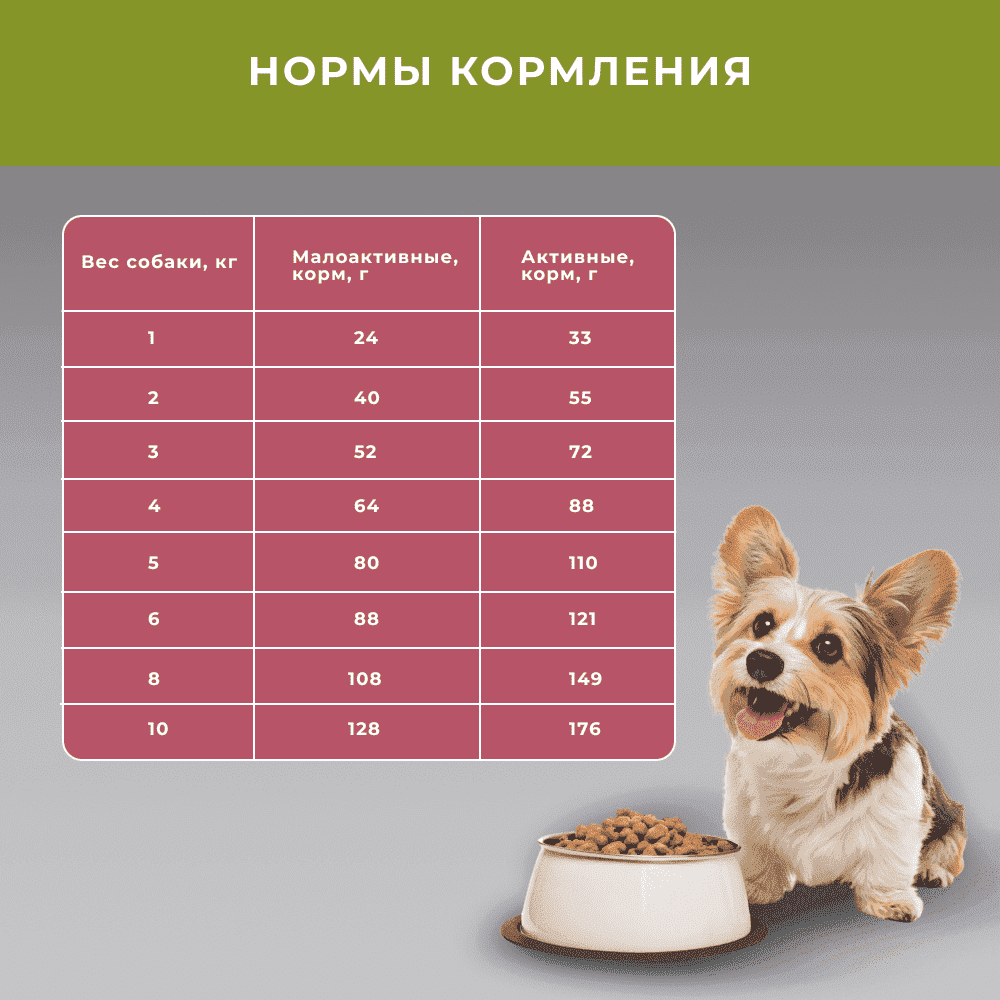 Корм для собак ELATO Holistic для мелких пород, ягненок с олениной сух.