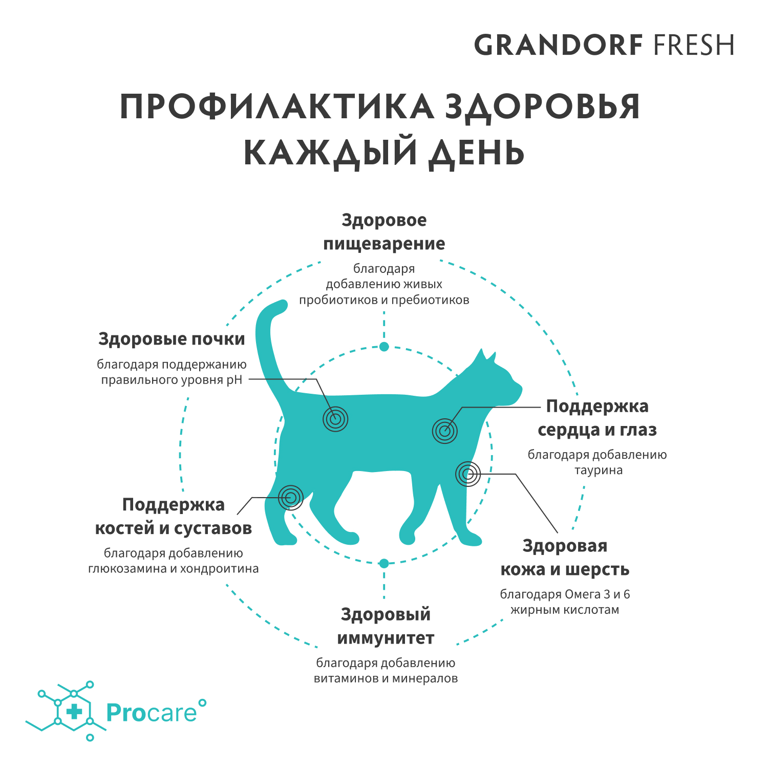 Беззерновой корм с живыми пробиотиками для кошек GRANDORF Fresh Cat Sterilised для стерилиз., свежее филе лосося с бататом сух.