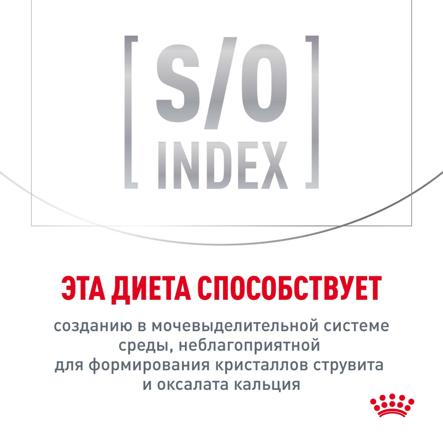 Корм для кошек ROYAL CANIN Gastrointestinal при острых расстройствах пищеварения сух.