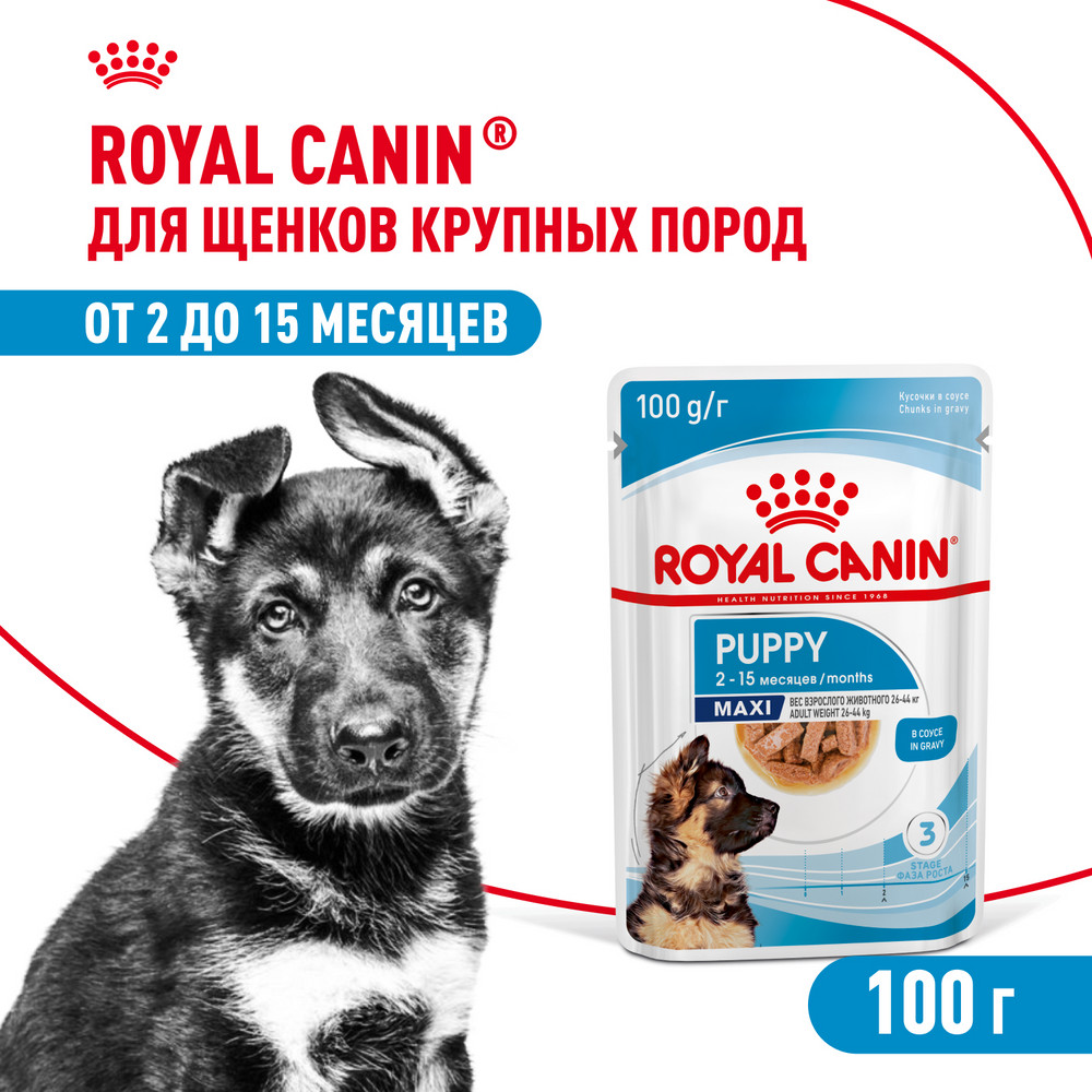 Корм для щенков ROYAL CANIN для крупных пород до 15 месяцев пауч
