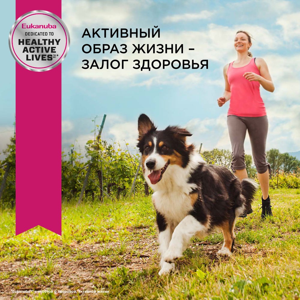 Корм для собак EUKANUBA для мелких пород сух.