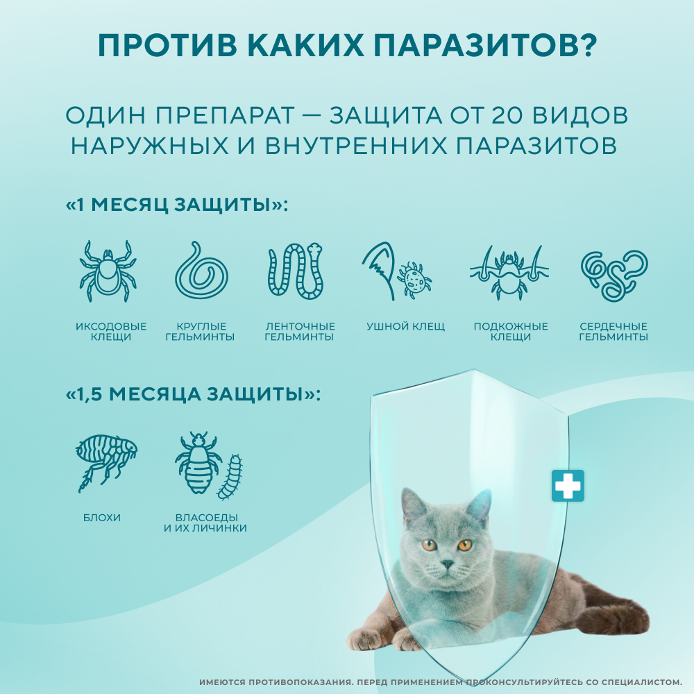 Капли на холку для кошек INSPECTOR Quardo от клещей, блох и глистов 4-8кг