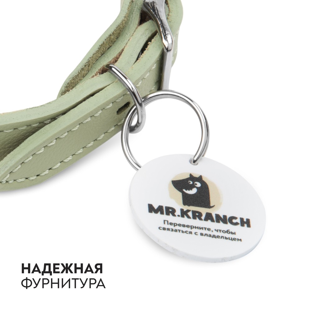 Ошейник-селедка для собак MR.KRANCH из натуральной кожи с QR-адресником, нежно-зеленый 19-23см