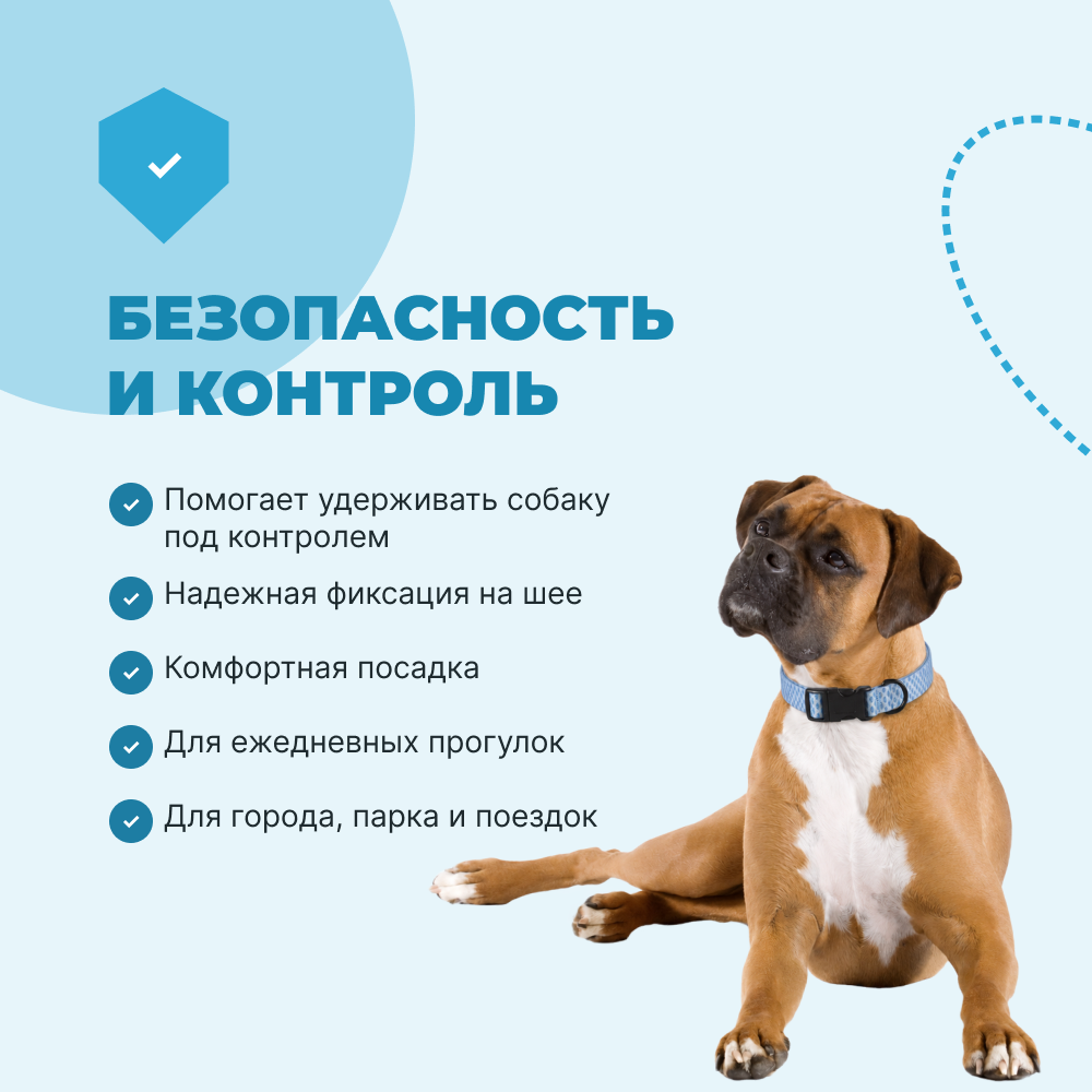 Ошейник для собак FOXIE Fish M 2,0х35-55см голубой