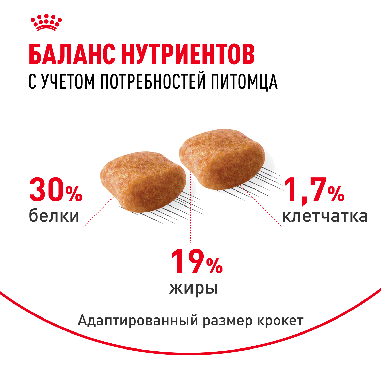 Корм для собак ROYAL CANIN Poodle для породы пудель от 10 месяцев сух.