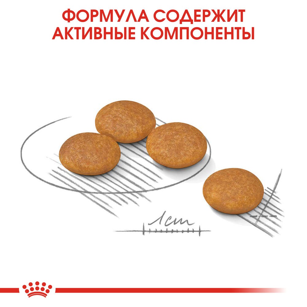 Корм для собак ROYAL CANIN Mini Dermacomfort для мелких пород при раздражениях кожи сух.