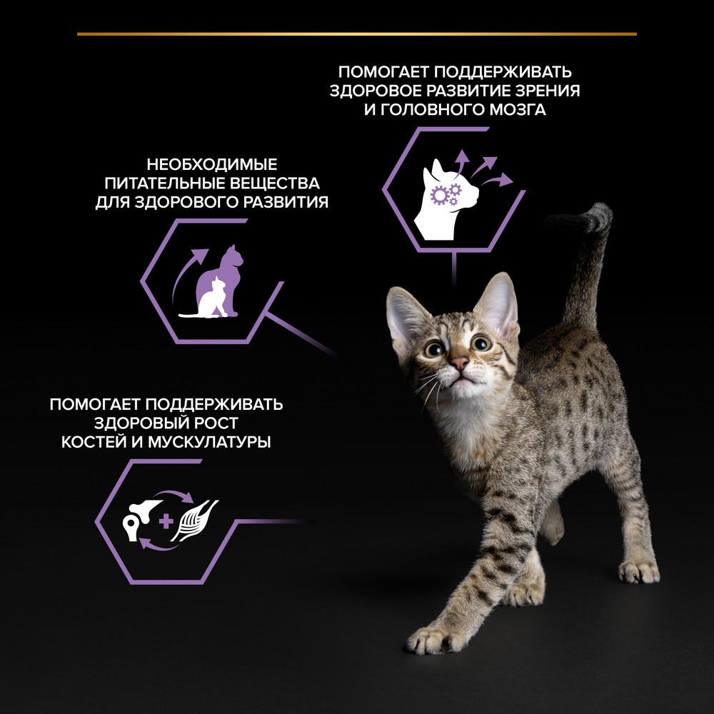 Корм для котят PRO PLAN Healthy Start кусочки с лососем в соусе пауч