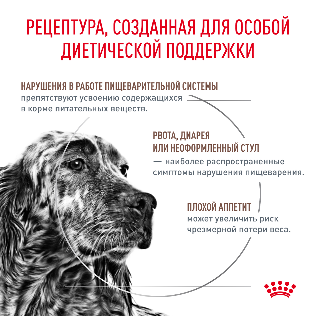Корм для собак ROYAL CANIN Gastrointestinal при расстройствах пищеварения, паштет пауч