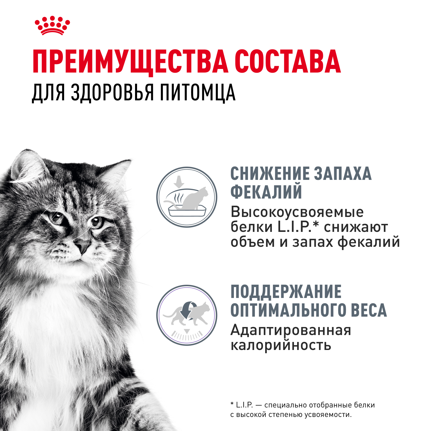 Корм для кошек ROYAL CANIN Digestive Care для здоровья пищеварительной системы (соус) пауч