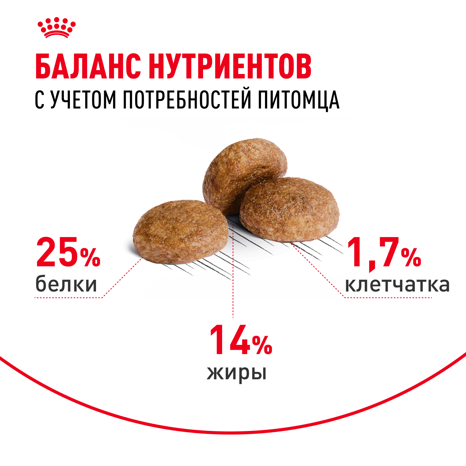 Корм для собак ROYAL CANIN Medium Adult 7+ для средних пород от 7 лет сух.