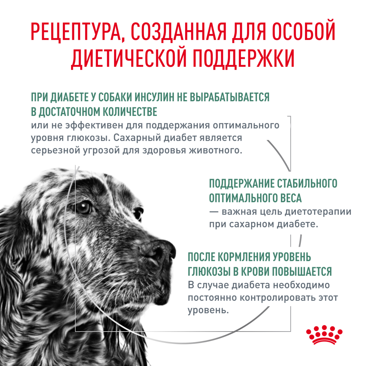 Корм для собак ROYAL CANIN Diabetic DS 37 Canine при сахарном диабете сух.