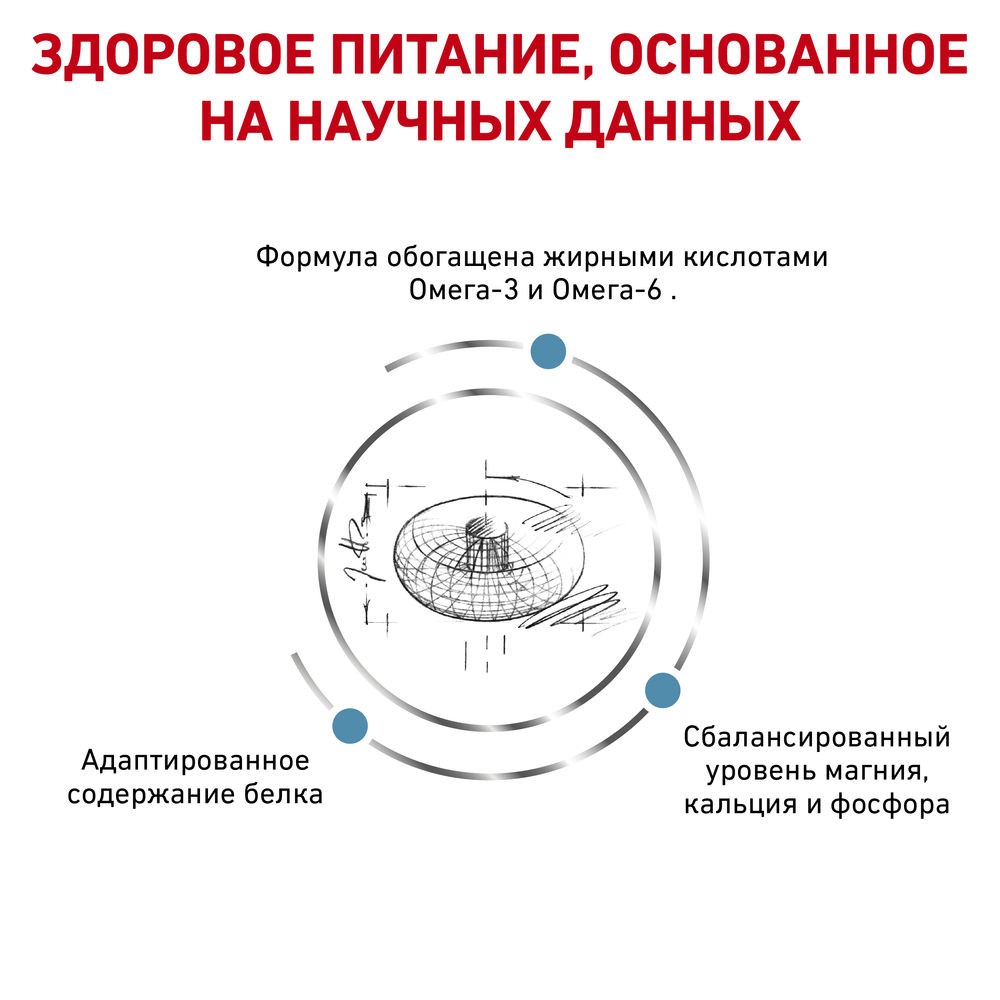 Корм для кошек ROYAL CANIN Skin & Coat для поддержания защитных функций кожи сух.