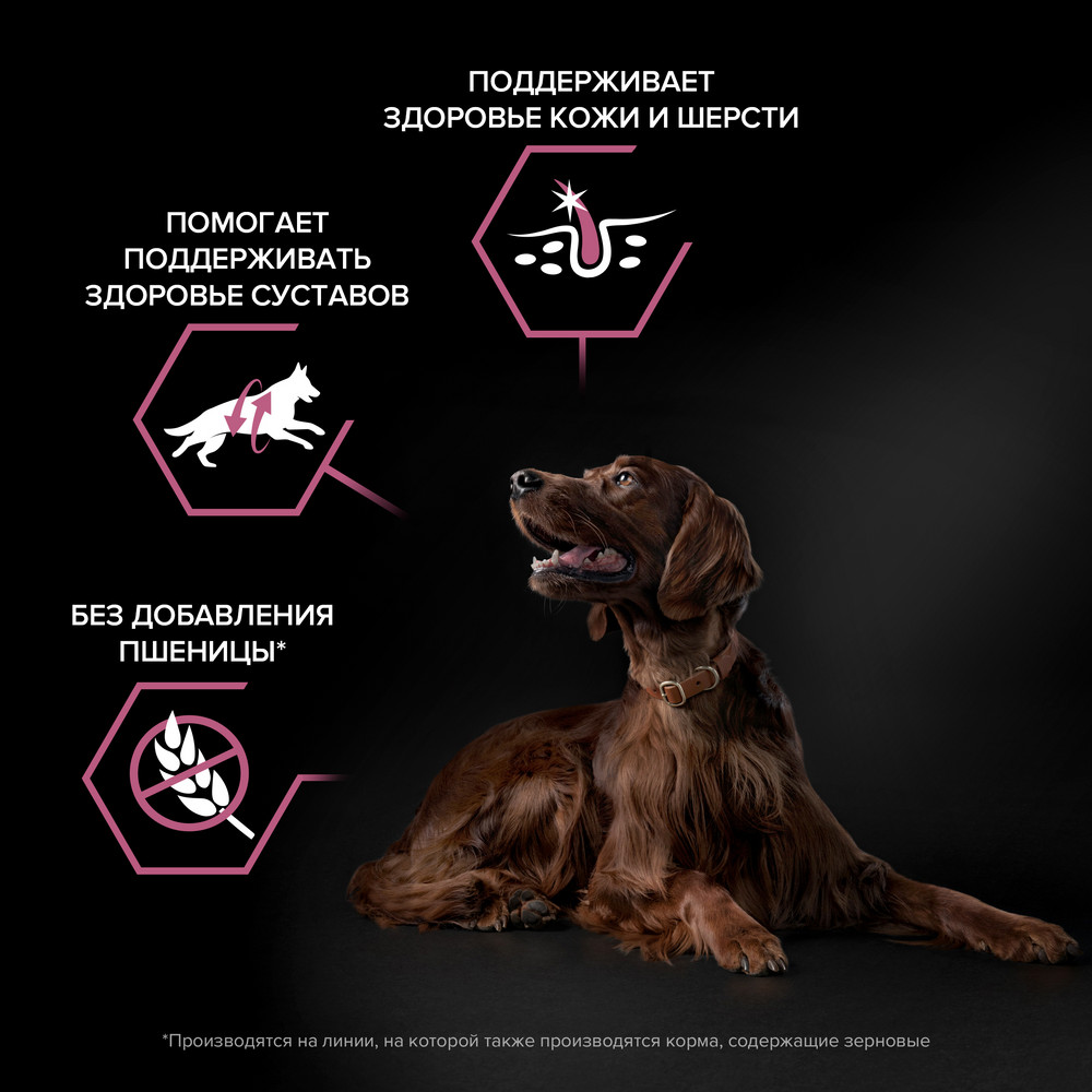 Корм для собак PRO PLAN Sensitive Skin для крупных пород с атлетическим телослож., лосось сух.