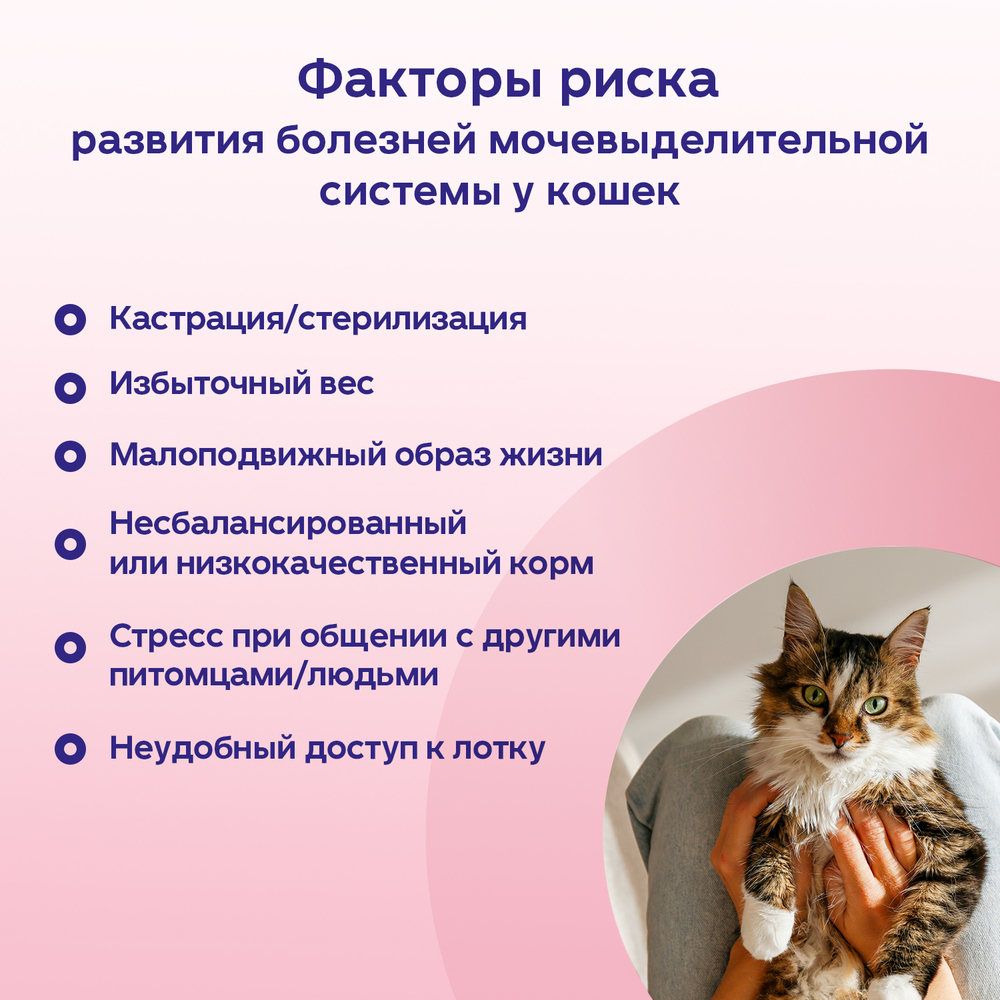 Кормовая добавка для кошек PROTEXIN Цистофан 30 капсул