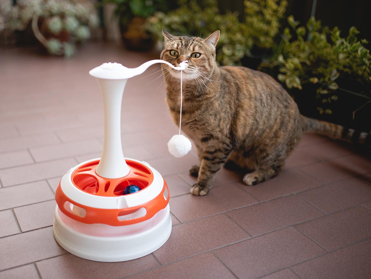 Игрушка для кошек FERPLAST TORNADO интерактивная