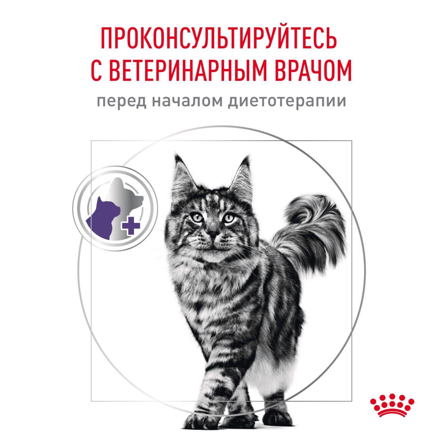 Корм для кошек ROYAL CANIN Vet Diet Neutered Satiety Balance для поддержания формы после кастрации сух.
