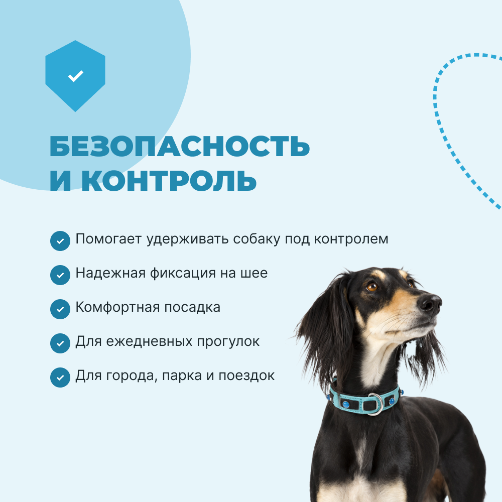 Ошейник для собак FOXIE Lagoon M 2,0х35-50см голубой