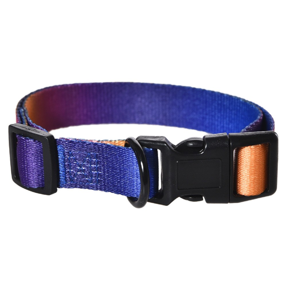 Ошейник для собак FOXIE Sunset M 2,0х35-50см разноцветный
