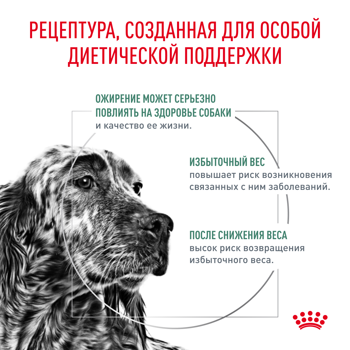 Корм для собак ROYAL CANIN Satiety Weight Management для снижения веса сух.