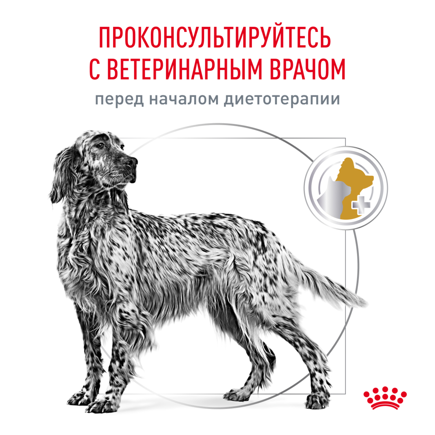 Корм для собак ROYAL CANIN Urinary S/O LP 18 при мочекаменной болезни сух.