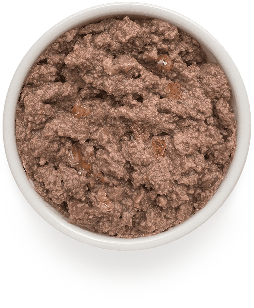Корм для собак GRANDORF FRESH Паштет из говядины банка