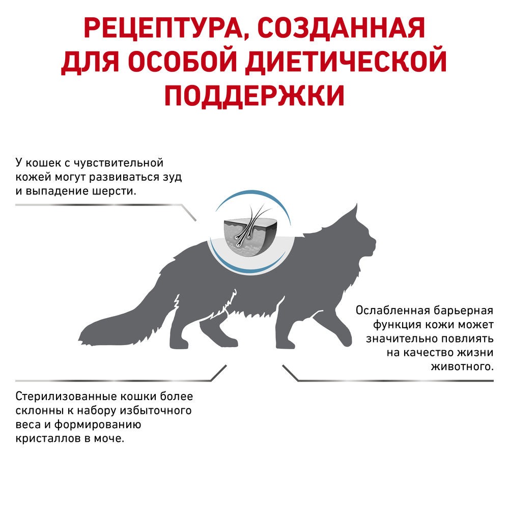 Корм для кошек ROYAL CANIN Skin & Coat для поддержания защитных функций кожи сух.