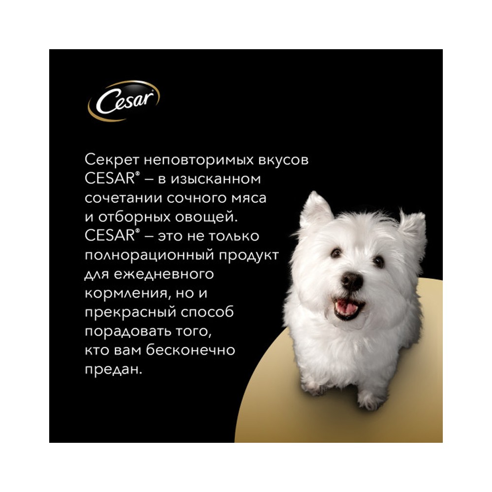 Корм для собак CESAR индейка с горохом и морковью в желе пауч