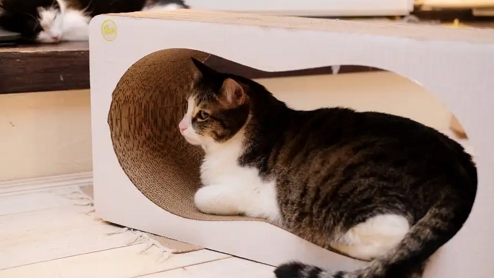 Когтеточка-домик для кошек PETSIKI Infi XL с кошачьей мятой картон, 60х19х30см