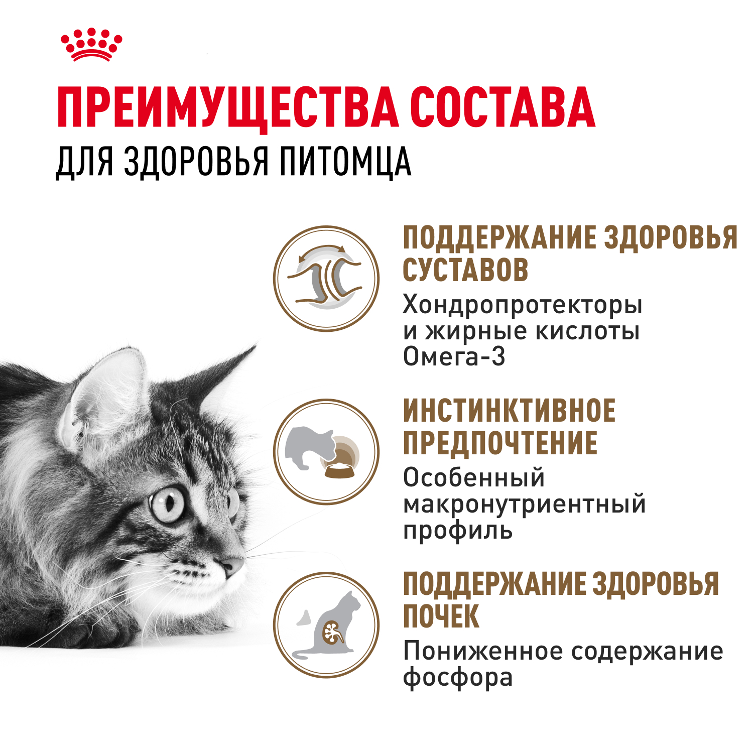 Корм для кошек ROYAL CANIN Ageing 12+ старше 12 лет, в желе конс.