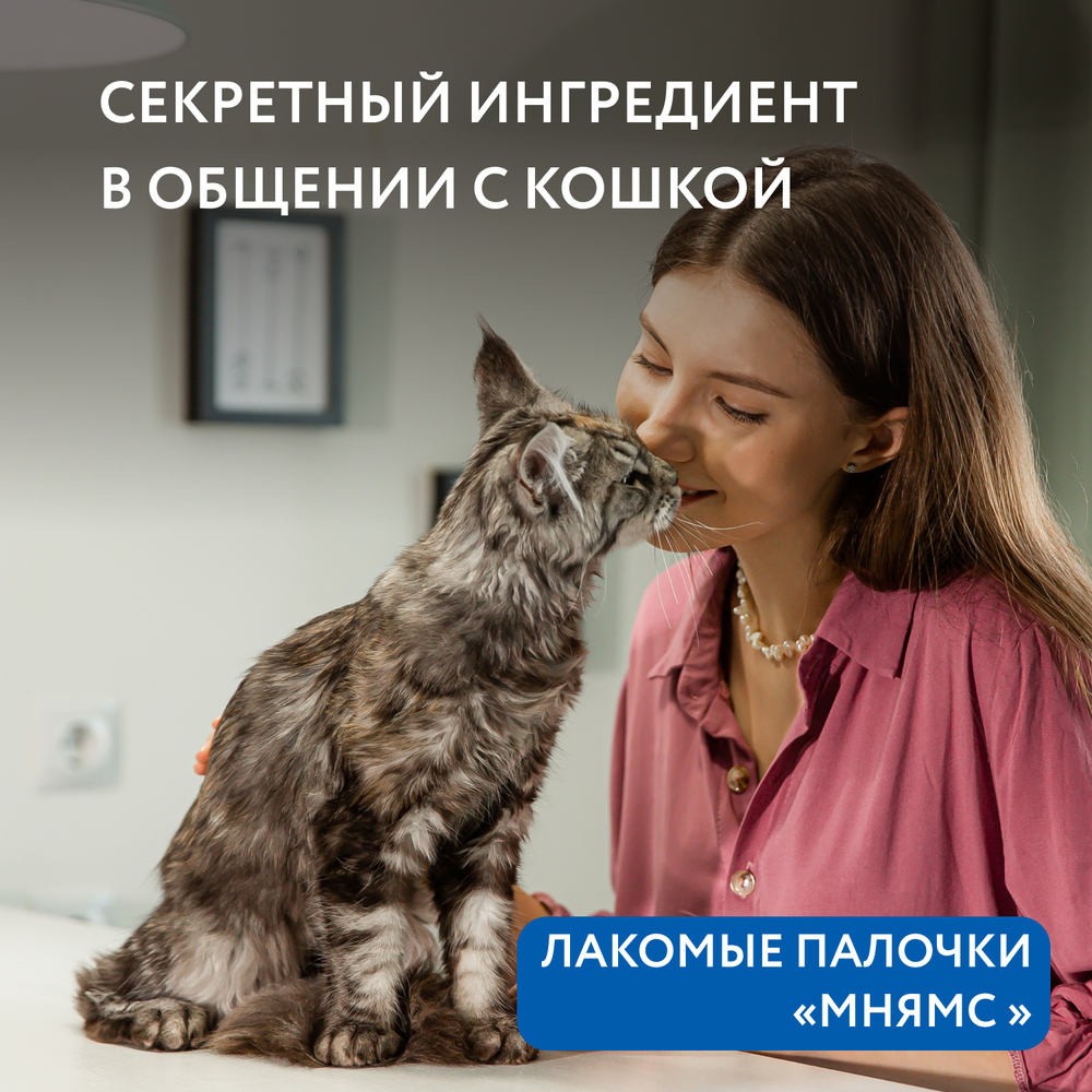 Лакомство для кошек МНЯМС Лакомые палочки с форелью и лососем 10х