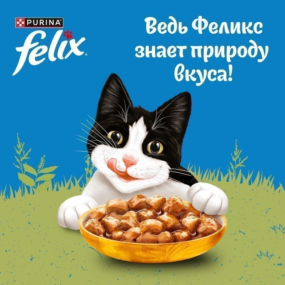 Корм для кошек FELIX Природа вкуса с курицей в соусе пауч