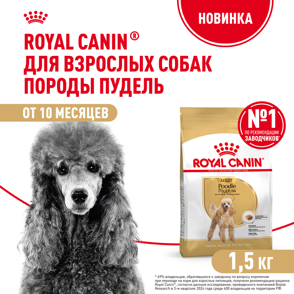 Корм для собак ROYAL CANIN Poodle для породы пудель от 10 месяцев сух.