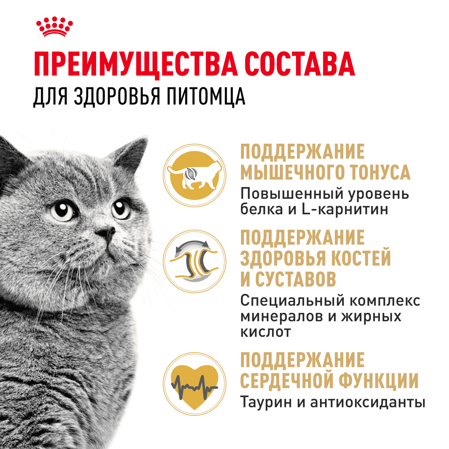 Корм для кошек ROYAL CANIN British Shorthair для породы британская короткошёрстная сух.