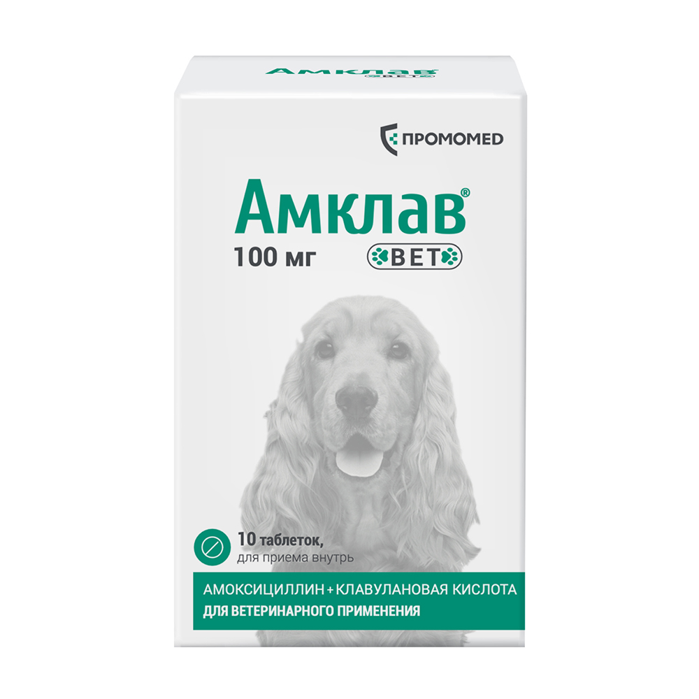 Препарат антибактериальный АМКЛАВ ВЕТ для собак и кошек 100мг 10табл (банка) (рецепт)