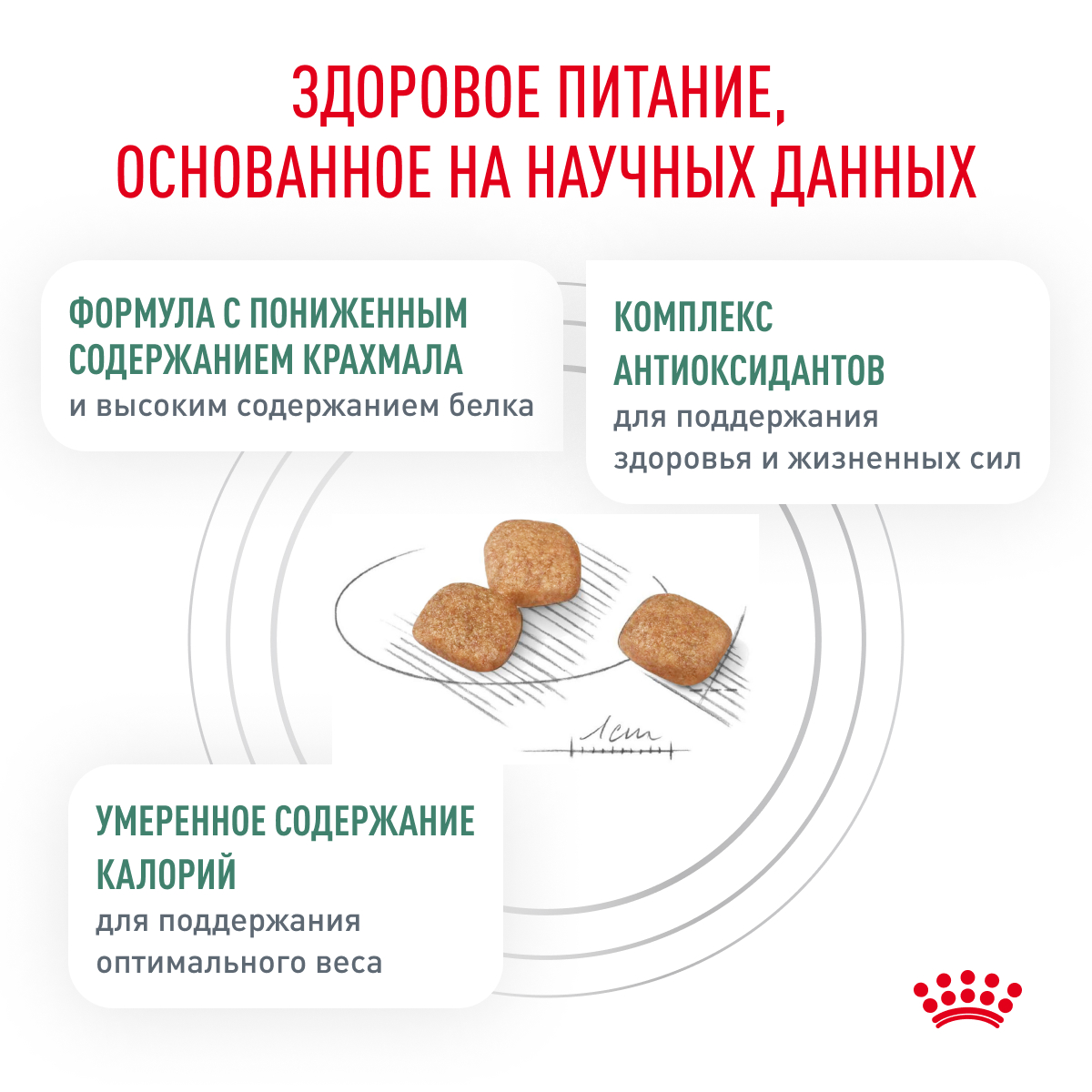 Корм для кошек ROYAL CANIN Diabetic при сахарном диабете сух.
