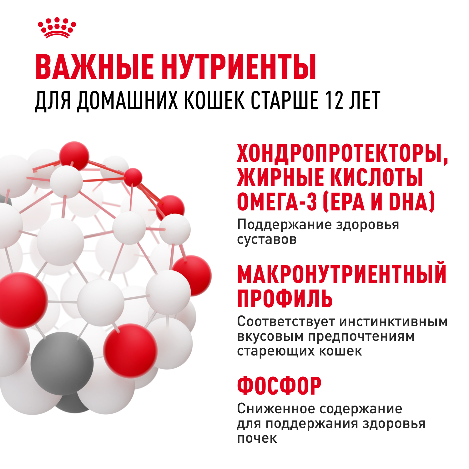 Корм для кошек ROYAL CANIN Ageing 12+ старше 12 лет, в желе конс.