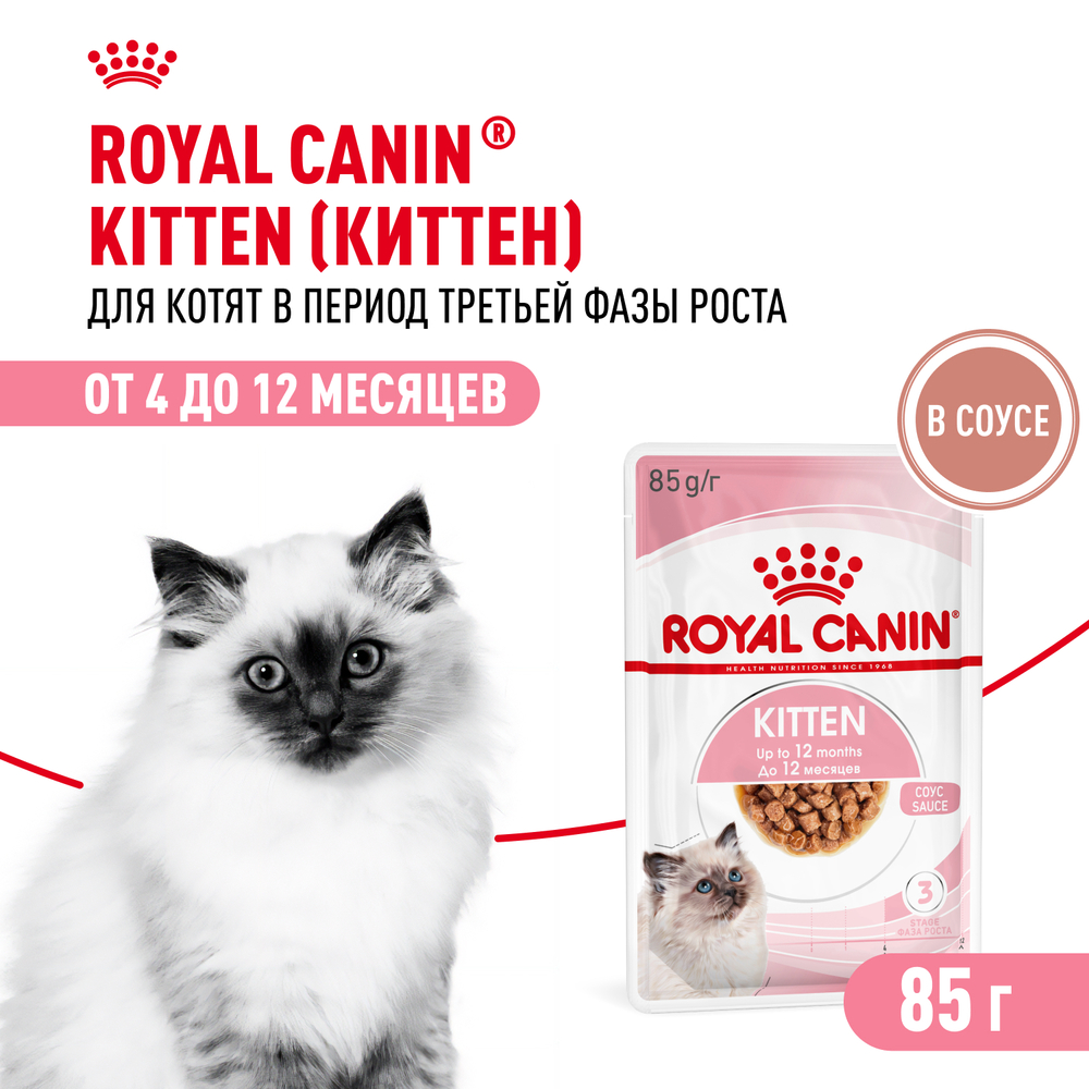 Корм для котят ROYAL CANIN в период третьей фазы роста до 12 месяцев, мясо в соусе пауч